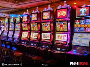 br567|Bingo Online com Mais de 500 Jogos – Participe Já